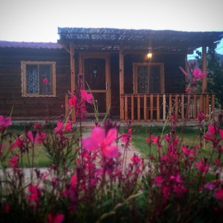 Ipekce Tatil Evleri Mesudiye  Eksteriør billede